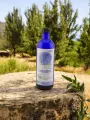 Hydrolat Laurier noble Bio Lilizain Pays basque  Purifiant et circulatoire 200 ml