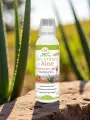 Jus dAloe arborescens bio entier  Cultivé en France  Pur et artisanal