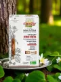 Aubier de Tilleul bio  Détox foie & reins  Ampoules  La Gravelline