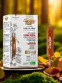 Aubier de Tilleul bio  Détox foie & reins  Ampoules  La Gravelline