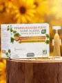 Propolis extra-forte de peuplier BIO sans alcool  Actidoses x20  Défenses immunitaires  Aristée Pollenergie