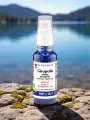 Giropolis Spray bio  Propolis & girofle  Gorge & bouche  Vecteur Santé