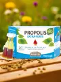 Propolis extra-forte de peuplier BIO  Doses individuelles  Défenses immunitaires  Aristée Pollenergie