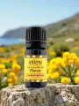 Huile essentielle Immortelle Corse Int&iacute;mu 5ml � Helichrysum italicum, antih&eacute;matome & circulatoire, bio