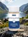 Articulation Glucosamine Chondro&iuml;tine Cassis Bio 60 g&eacute;lules Confort & Mobilit&eacute;