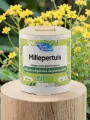 Millepertuis 250 mg 60 g&eacute;lules v&eacute;g&eacute;tales humeur positive et &eacute;quilibre &eacute;motionnel