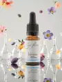 Fleur de Bach Verveine Vervain &Eacute;lixir floral Bio Apaisement et Mod&eacute;ration