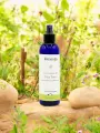 Hydrolat de Tea tree bio peau &agrave; probl&egrave;mes purifiant 200 ml