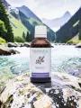 Mycolys complexe de bourgeons frais bio d&eacute;fense anti infectieuse large spectre