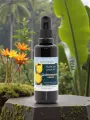 Huile de soin Quintessence bio visage corps cheveux 50 ml
