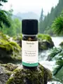 Huile essentielle de Pin sylvestre bio respiration vitalit&eacute; 10 ml