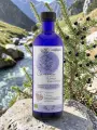 Eau florale de Genevrier commun bio hydrolat drainant digestif artisanal