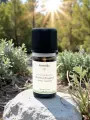 Huile essentielle de Thym &agrave; thujanol bio 5 ml confort respiratoire France