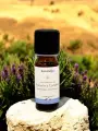 Huile essentielle de Romarin &agrave; camphre bio 10 ml douleurs musculaires respiration concentration France