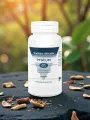 Pygeum g&eacute;lules confort urinaire prostate homme extrait titr&eacute;