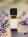 Huile essentielle de Lavande aspic bio peau br&ucirc;lures piq&ucirc;res 10 ml