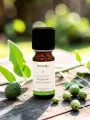 Huile essentielle de Bergamote bio anti-stress digestion 10 ml