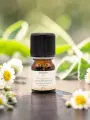 Huile essentielle de Camomille matricaire bio apaisement peau sensible 2,5 ml