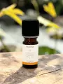 Huile essentielle de Curcuma bio digestion foie tonus 5 ml