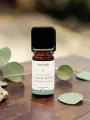 Huile essentielle d�Eucalyptus globulus bio respiration toux grasse 10 ml