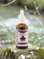 Circulation synergie gemmoth&eacute;rapie 1D dynamis&eacute;e Bio jambes l&eacute;g&egrave;res et retour veineux