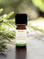 Huile essentielle Cypr&egrave;s de Provence bio circulation respiration 10 ml