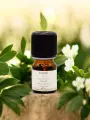 Huile essentielle N&eacute;roli Bio d&eacute;tente et sommeil 1 ml