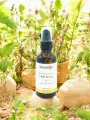 Mac&eacute;rat huileux d�H&eacute;lichryse italienne Bio bleus et rougeurs 50 ml