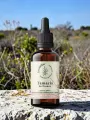 Tamaris de France bio et Demeter, extrait de jeunes pousses 1D dynamis&eacute;, gemmoth&eacute;rapie vitalit&eacute; et fer 50 ml
