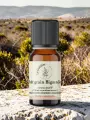 Huile essentielle de petit grain bigaradier bio, d&eacute;tente, sommeil et &eacute;quilibre &eacute;motionnel, &Eacute;gypte 5 ml