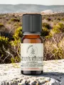 Huile essentielle de lavande officinale bio 1500 m des Alpes-Maritimes, d&eacute;tente, sommeil et peau 5 ml