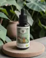 Jiaogulan bio du Pays Basque, gynostemma en extrait pur, &eacute;nergie et endurance, Alma Sauvage 30 ml
