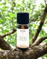 Huile essentielle bio de Cèdre de l'Atlas 10 ml  Pure et naturelle, origine Maroc