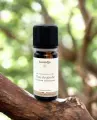 Huile essentielle bio de Clou de Girofle 10 ml  Pure et naturelle, origine Sri Lanka