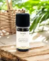 Huile essentielle bio de Gingembre 5 ml  Pure et naturelle