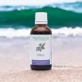 Vitalys  Complexe de bourgeons et plantes fraîches Bio  Énergie & tonus naturel