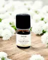 Huile essentielle de Camomille Romaine bio  Douceur et Apaisement profond
