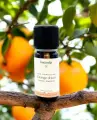 Huile Essentielle Bio Orange Douce - 10ml | Éclat Vital & Harmonie Intérieure