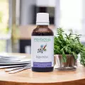 Digestolys  Complexe de bourgeons et plantes fraîches Bio  Digestion & confort intestinal
