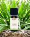 Huile Essentielle Bio Palmarosa - 10ml | Équilibre Cutané & Harmonie Émotionnelle