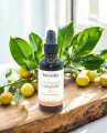 Huile Végétale Bio de Calophylle  Régénérante et Circulatoire  Peaux Sensibles et à Problèmes
