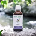 Prostalys  Complexe de bourgeons et plantes fraîches Bio  Confort urinaire masculin