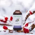 Sinolys  Complexe de bourgeons et plantes fraîches Bio  Confort respiratoire & drainage des sinus