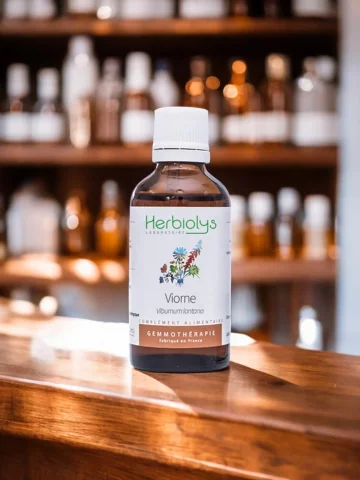 Macérat de bourgeons bio de Viorne (Viburnum lantana)  Soutien respiratoire et apaisement des allergies