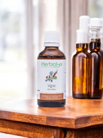 Macérat de bourgeons bio de Vigne (Vitis vinifera)  Soutien articulaire et cutané