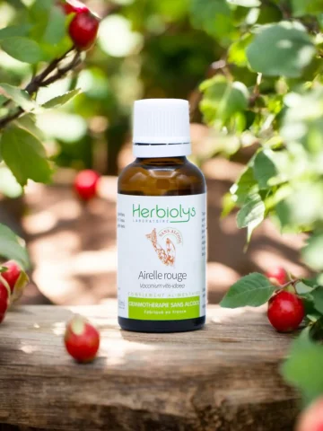 Macérat sans alcool de jeunes pousses bio d'Airelle rouge (Vaccinium vitis-idaea)  Équilibre féminin et confort urinaire