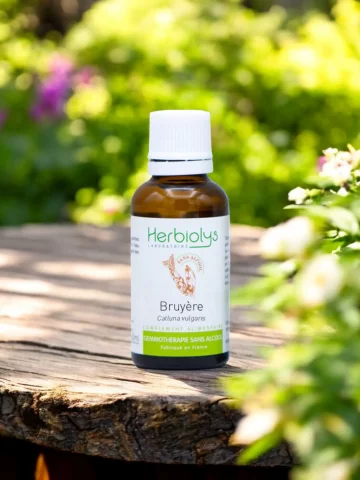 Macérat de jeunes pousses bio de Bruyère sans alcool  Confort urinaire et soutien prostatique