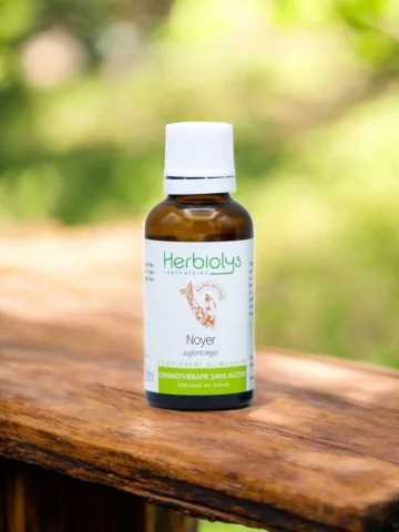 Macérat de bourgeons bio de Noyer (Juglans regia) sans alcool  Flore intestinale et équilibre glycémique