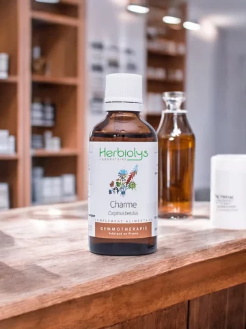Macérat de bourgeons bio de Charme (Carpinus betulus)  Soutien des voies respiratoires et équilibre circulatoire