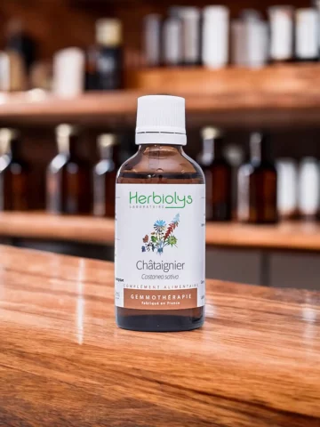 Macérat de bourgeons bio de Châtaignier (Castanea sativa)  Drainage lymphatique et confort circulatoire
